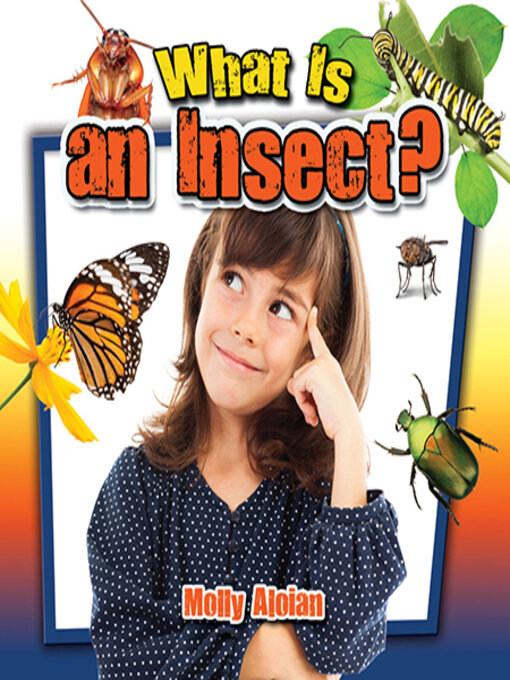 Title details for What Is an Insect? by Molly Aloian - Available